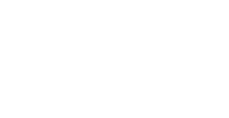 Developer